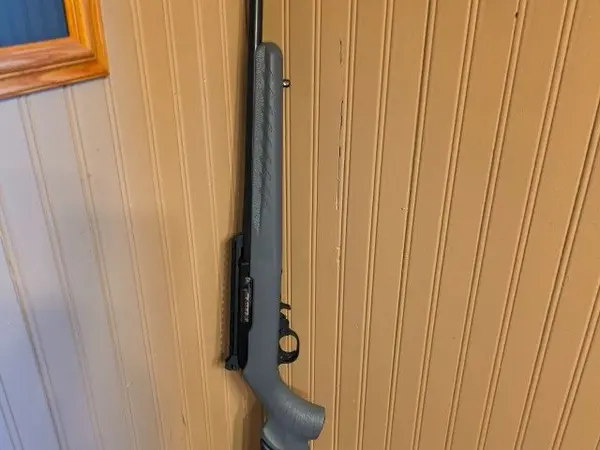 Ruger 10 22