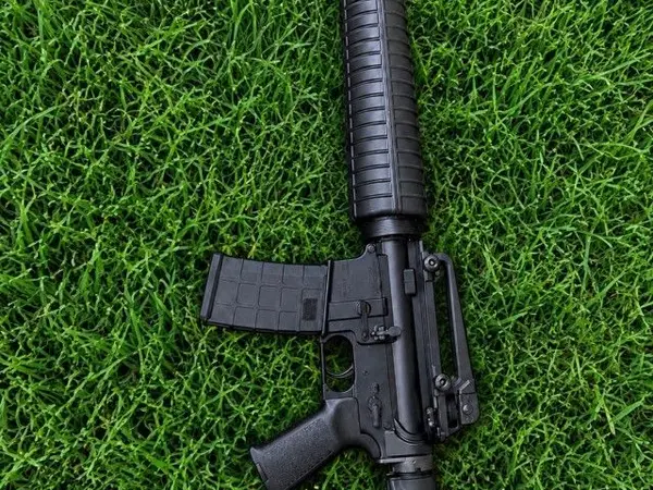 Franklin Armory Dissipator