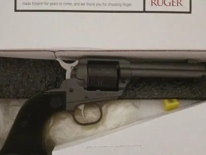 Ruger Wrangler 22LR