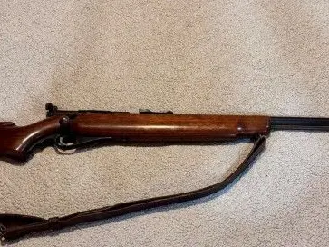 Mossberg 46M .22