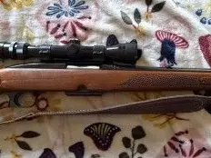 Winchester Model 88 Lever Action