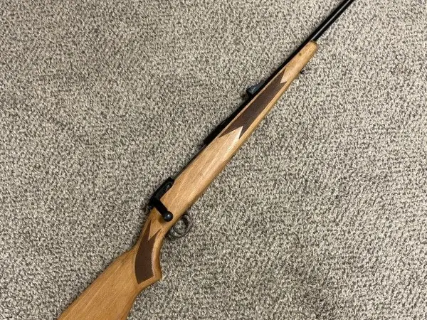 Savage 110