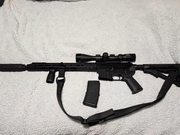 .556 AR custom build.