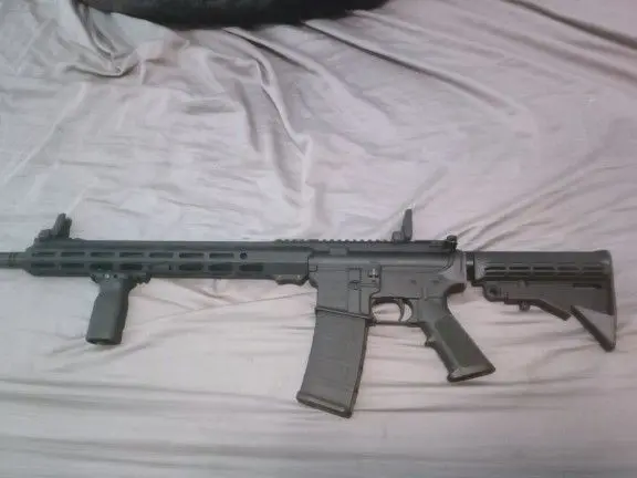 New Ruger 556 with a Magpul pop up sights and forward grip