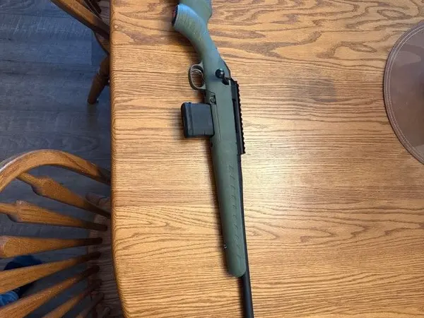 Ruger American Predator .223