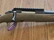 Ruger American 350 Legend
