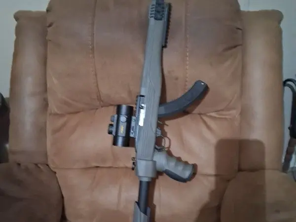 Ruger 1022