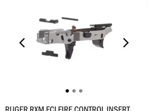 Ruger RXM FCI