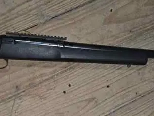 Savage Mod 12 Cal 22-250