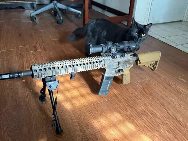 WTT Daniel Defense M4A1