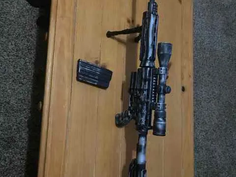 Cerakote AR-10 .308 win with vortex optic