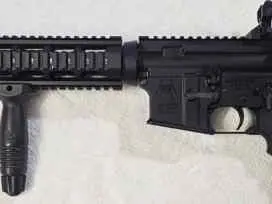 Spikes Tactical AR-15