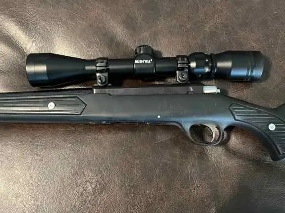 Ruger M77 boat paddle Zytel stock 17hmr clean