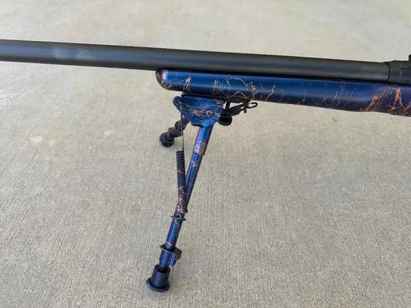 Savage Model 10 - Safe Queen