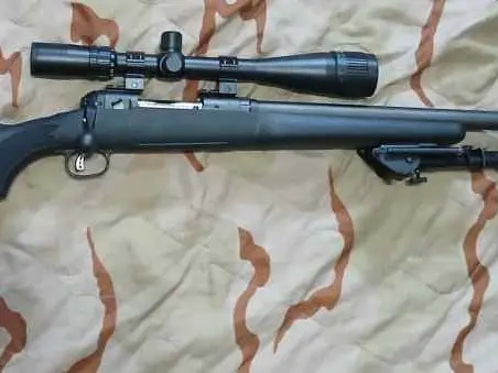 Savage 308