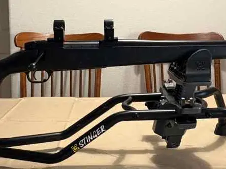 **LOOK** Weatherby Mark V 22-250 SVR $1750