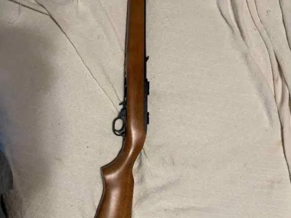 Ruger 10/22