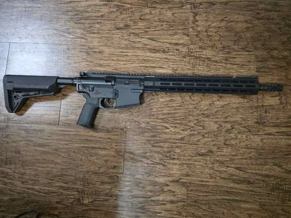 Primary weapon systems mk216 308