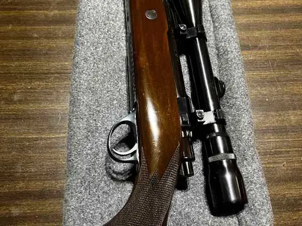 Sako Finnbear .270