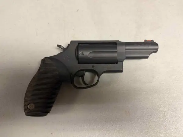 Taurus The Judge