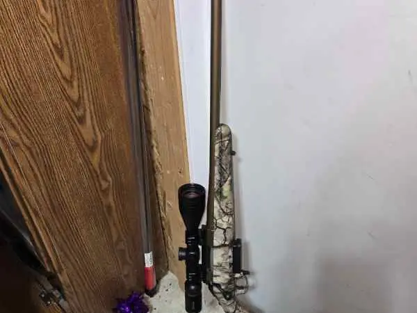 Ruger American Go Wild 308