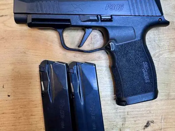 Sig 365X