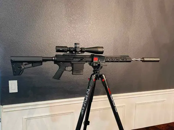 AR-10/308