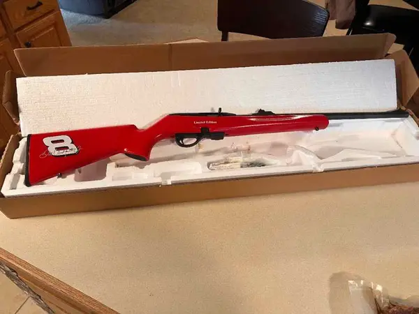Remington 597 .22lr Dale Jr Limited Edition