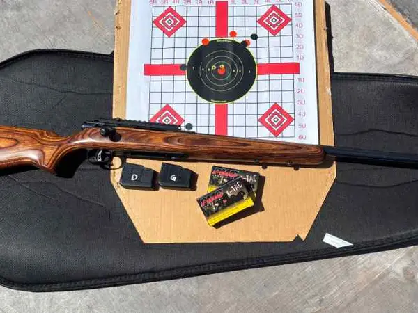 Savage Model 25