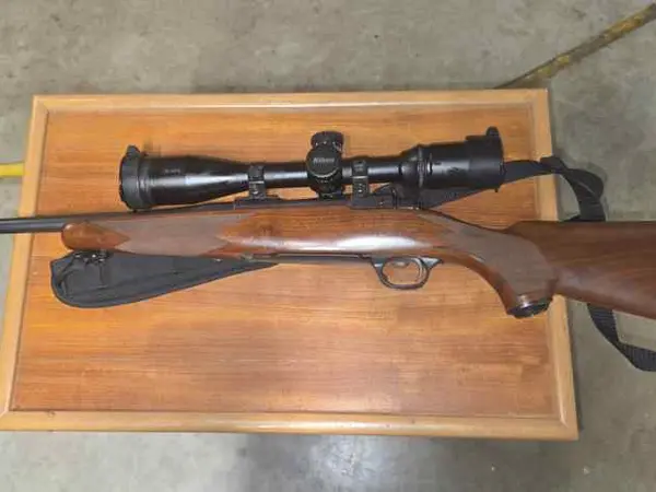 Ruger M77 Hawkeye 223