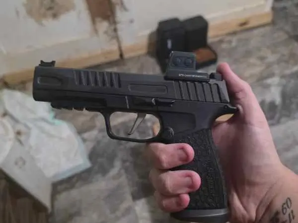 P365 fuse