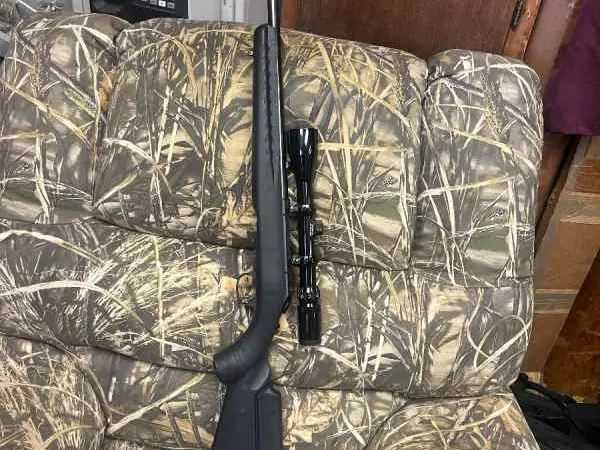 Ruger American 17 HMR