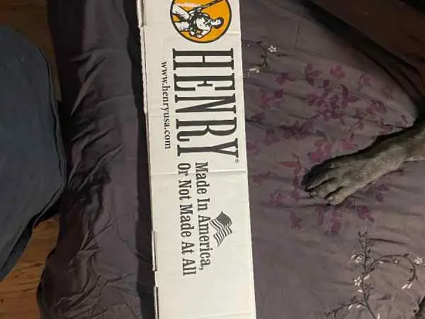 .38/.357 Henry Carbine