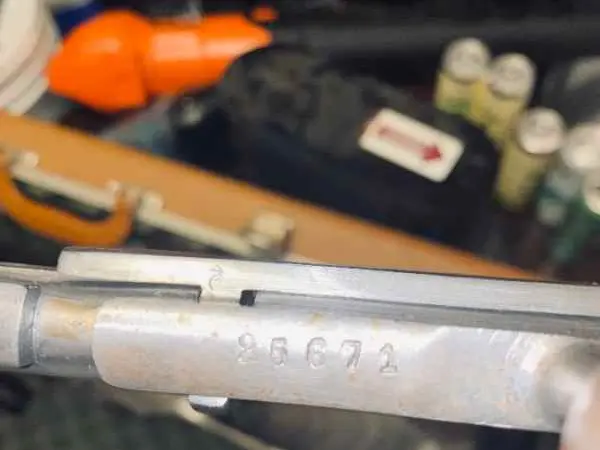 Sport Mosin M91/30 w/ scope 250$