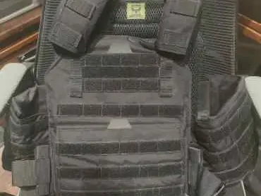 Armored republic carrier vest and plates