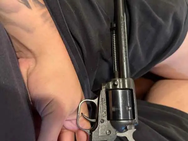 .22 heritage revolver