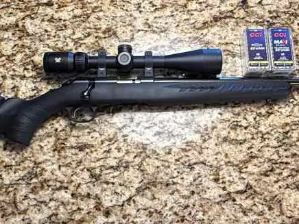 22 Magnum