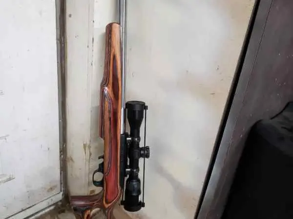 Ruger 10-22 bull barrel, thumb hole stock