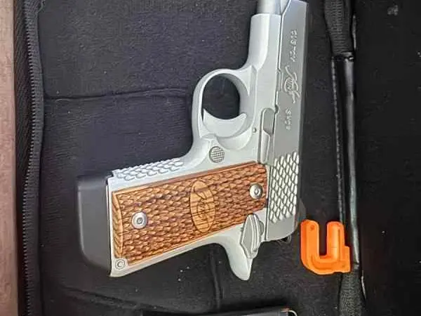 Kimber micro raptor 380