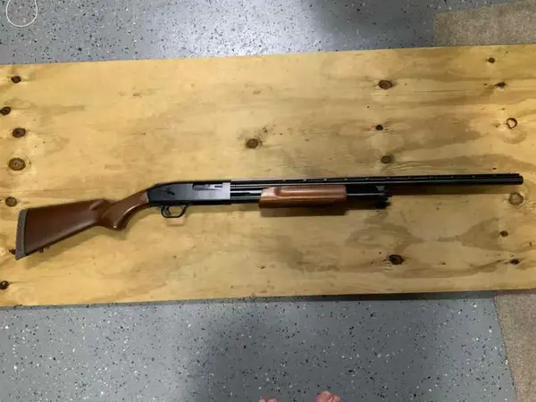 Mossberg 500-12 gauge