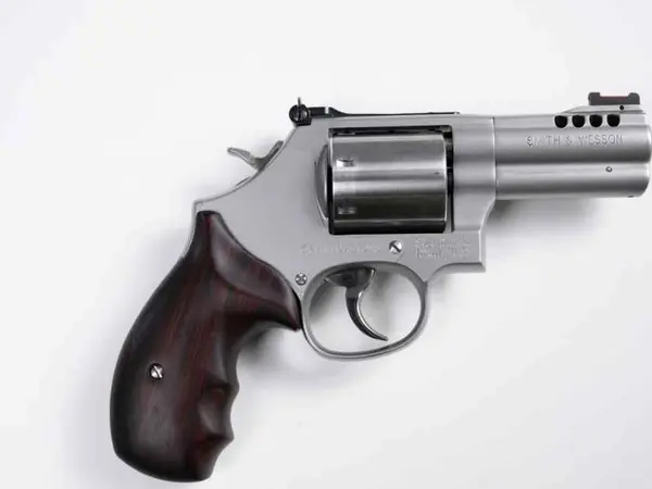 S&W 686+ Gemini Custom