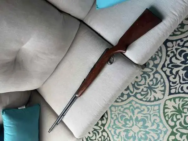 Remington 550-1 22 cal