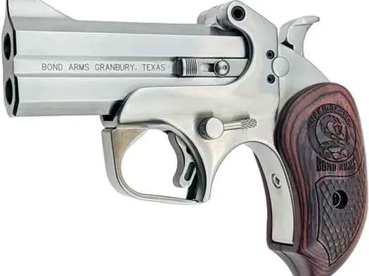 Bond Arms Snake Slayer 410 shotshell