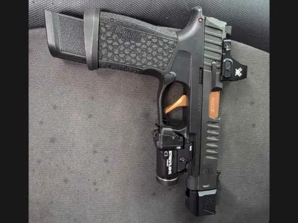 Sig p365 fuse