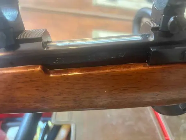 Sako Forester 243