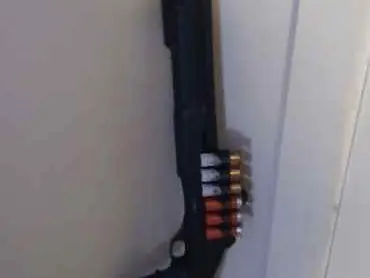 12 guage for sale