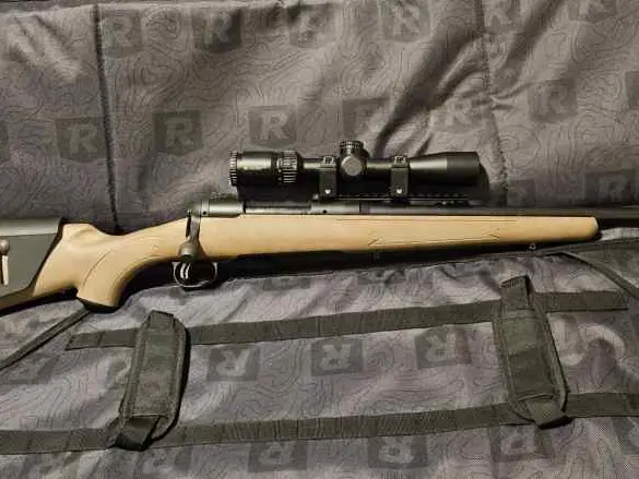 Savage model 11 .308