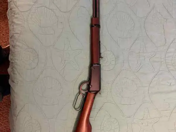 Henry NRA 22 mag