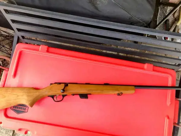 Glenfield Model 25