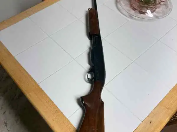 Remington 760 270